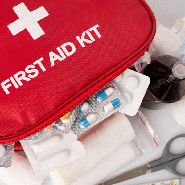 First Aid Kit (Basic)